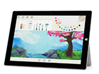望花Surface 无法开启、Windows 无法启动或电池无法充电